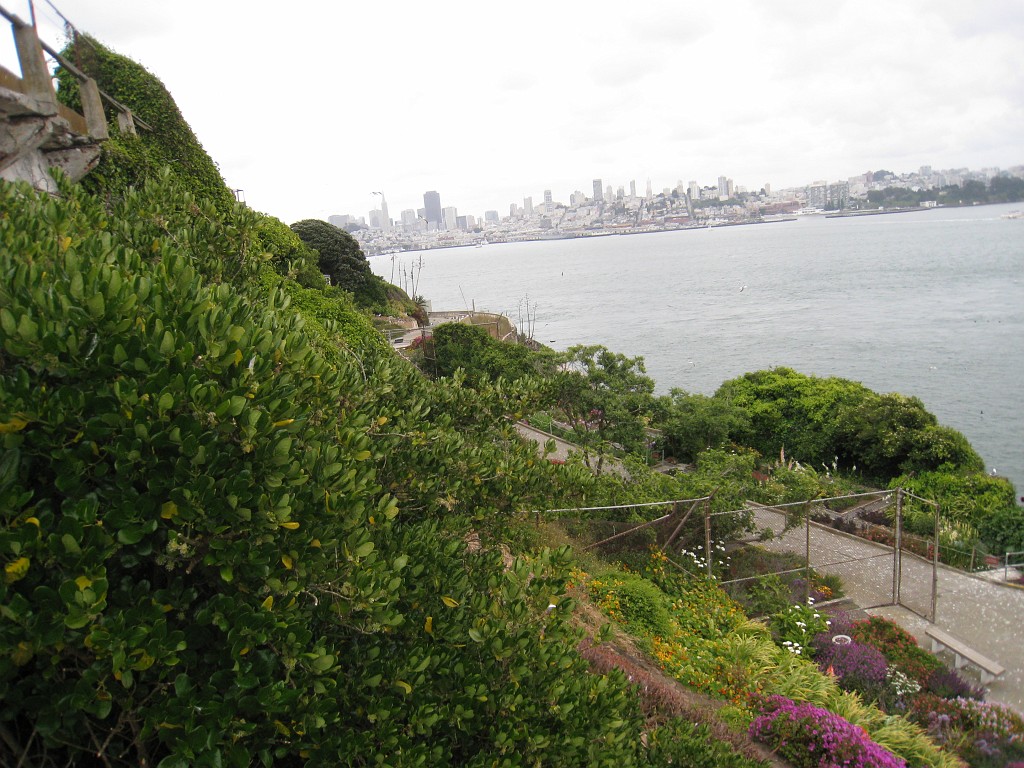 2011 Bay 2 Breakers Saturday 0670.JPG - I was able to participate in the 2011, 100th anniversary of the San Francisco Bay to Breakers 12K race. A great weekend for sight seeing and racing.